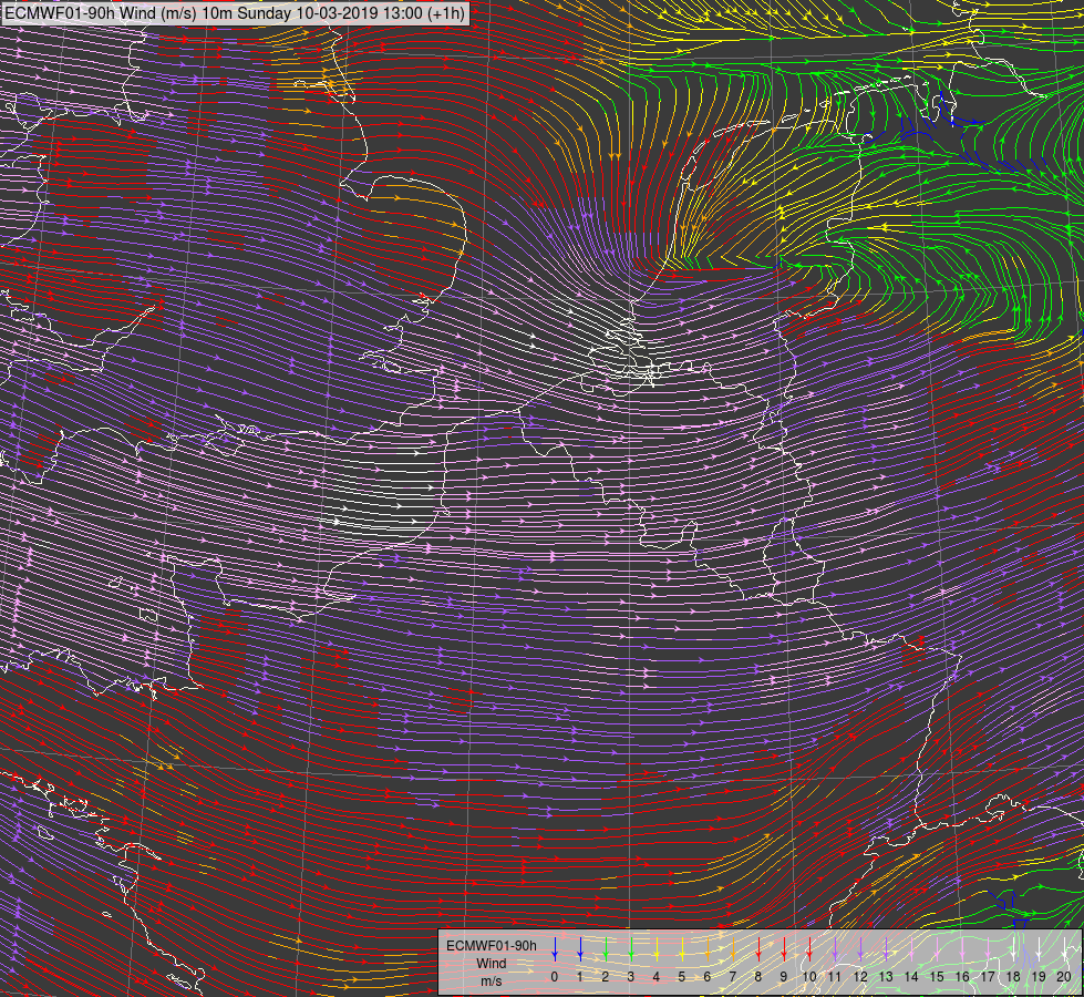 Champ de vent à 10 m (prévisions ECMWF pour le dimanche 10/3 à 12hTU, run du Dimanche 10/3 à 12hTU): ligne de champ + vitesse en m/s (couleurs)